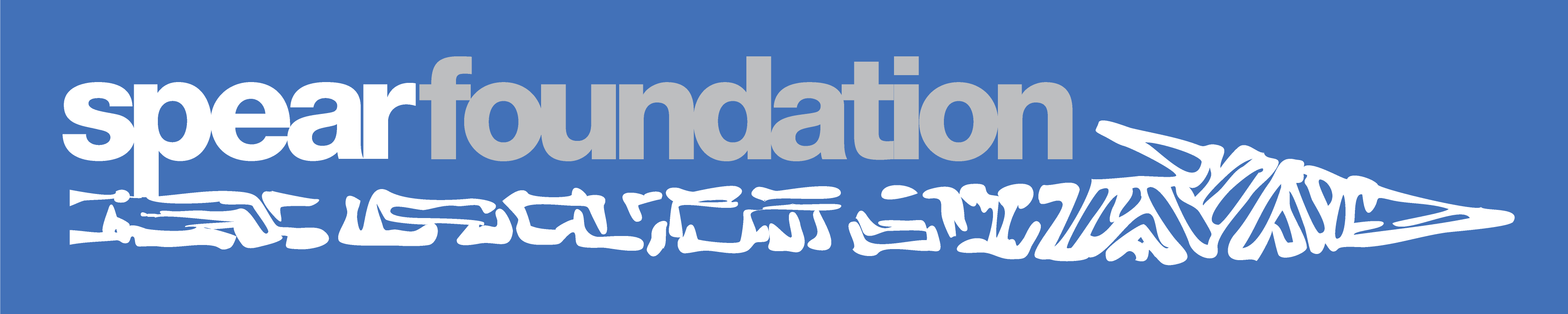 Spear Foundation Silent Auction 2023 AirAuctioneer