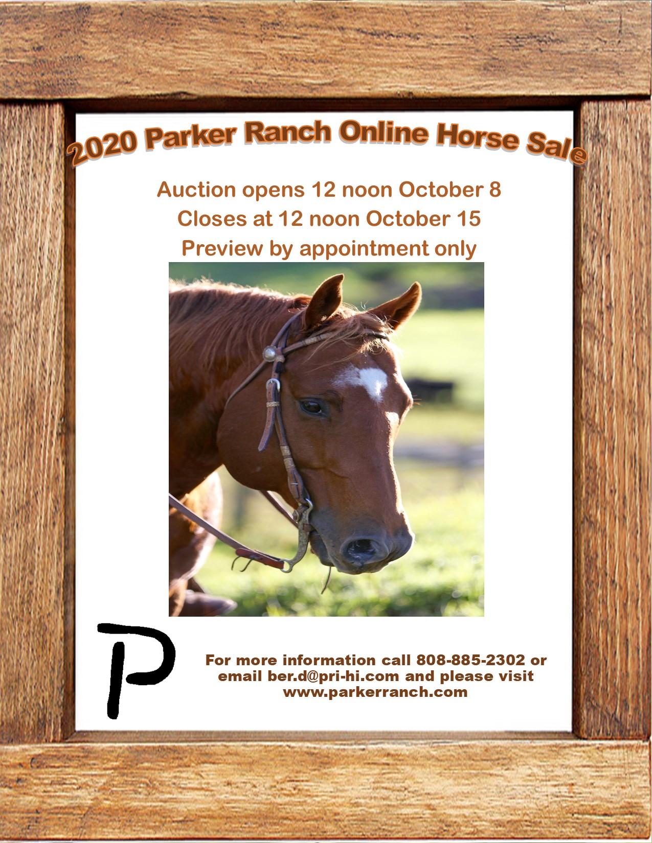 Parker Ranch 2020 Horse Auction AirAuctioneer